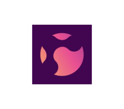 RSG Consulting