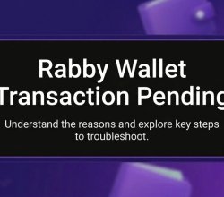 Rabby Wallet Transaction Pending