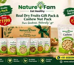 Real Dry Fruits Gift Pack & Cashew Nut Pack | Naturefam