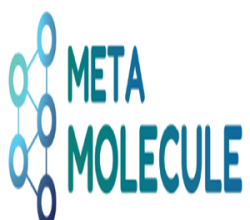 Meta Molecule