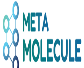 Meta Molecule