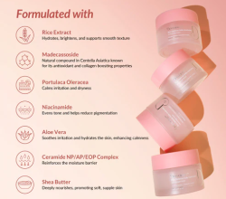 Rice Ceramide Moisturizer | Dewcious