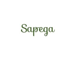 Sapega International LLC