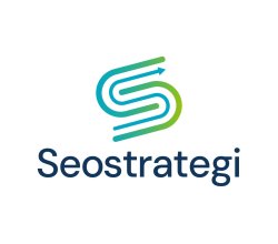 Seo Strategi