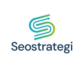 Seo Strategi