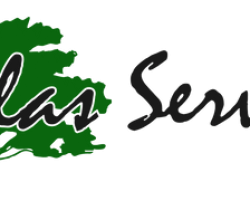 Salas Services
