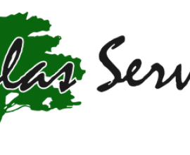 Salas Services