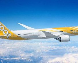 Scoot Airlines Harbin Office  +1-888-738-0817