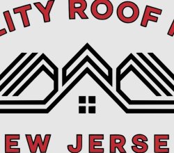 Quality Roof Pros
