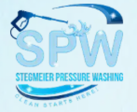 Professional Exterior House Cleaning in Arlington