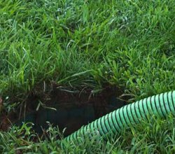 Reliable Septic Service in Albuquerque | 505 Portable Restrooms