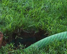 Reliable Septic Service in Albuquerque | 505 Portable Restrooms