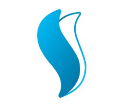 Top Shopify Development Company for High-Performance eCommerce Stores