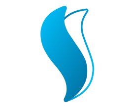 Top Shopify Development Company for High-Performance eCommerce Stores
