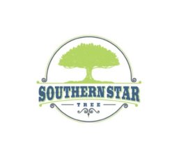 Professional Tree Removal in Atlanta