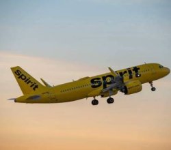 Spirit Airlines Bogota Office +1-888-738-0817
