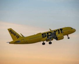 Spirit Airlines Bogota Office +1-888-738-0817