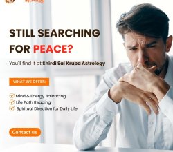 Professional Astrological Solutions in BTM Layout for Modern Life Challenges|Bestastrologersinbangalore.com