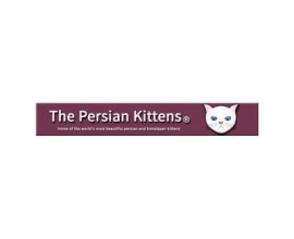 The Persian Kittens