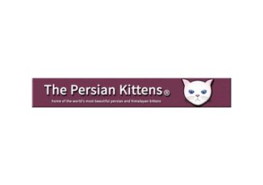 The Persian Kittens