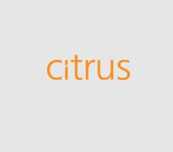 Citrus Leisure PLC