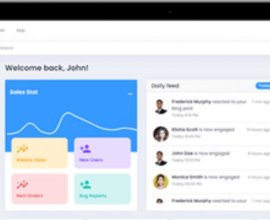 Developer Team