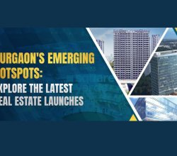 Portable Ultrasound Machine | SonoScape India