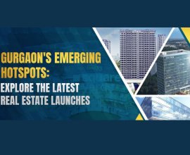 Portable Ultrasound Machine | SonoScape India