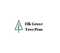 Maintain Shape and Strength Effectively with Professional tree trimming elk grove