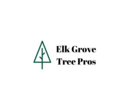 Maintain Shape and Strength Effectively with Professional tree trimming elk grove