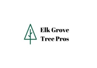 Maintain Shape and Strength Effectively with Professional tree trimming elk grove