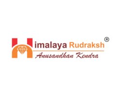 Himalaya Rudraksha