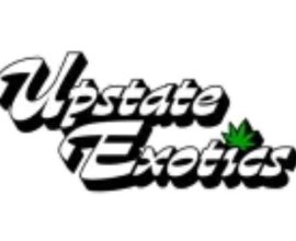 Upstate Exotics