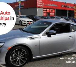 Skyline Auto Group
