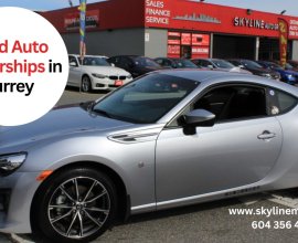 Skyline Auto Group