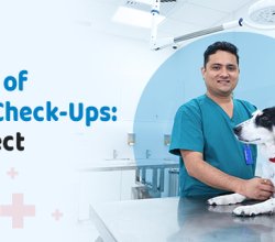 Vet Near Me | CGS Hospital