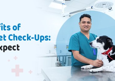 Vet Near Me  | CGS Hospital