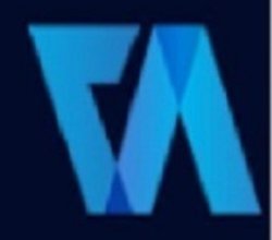 Virtual Auditor Pvt LtdÂ