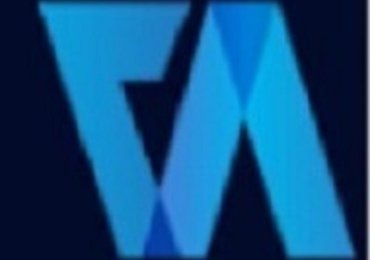 Virtual Auditor Pvt Ltd 