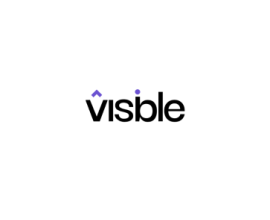 Visble AI