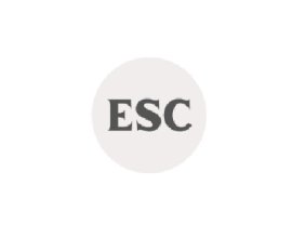 Book Related Presents | Enlightened Soul Co.
