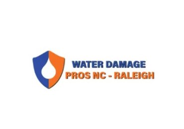 the Water Damage Pros Raleigh nc