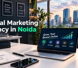 White Bunnie – Digital Marketing Agency in Noida