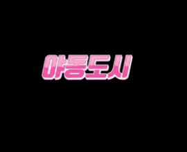 야동도시