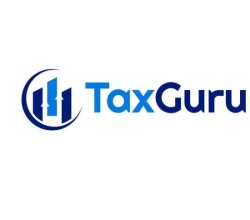 Reliable professional tax consulting services for financial guidance