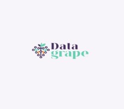 Data grape