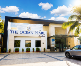 The Ocean Pearl Gardenia