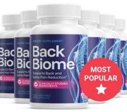 BackBiome: Support for Back Health & Mobility