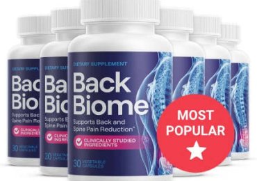 BackBiome: Support for Back Health & Mobility