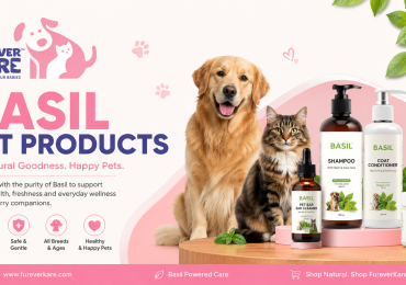 Natural Basil Pet Products for Dogs & Cats | Furever Kare